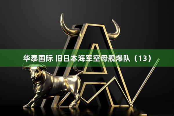 华泰国际 旧日本海军空母舰爆队（13）