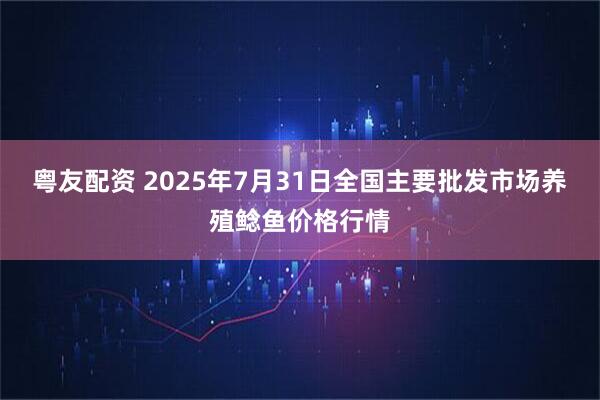粤友配资 2025年7月31日全国主要批发市场养殖鲶鱼价格行情