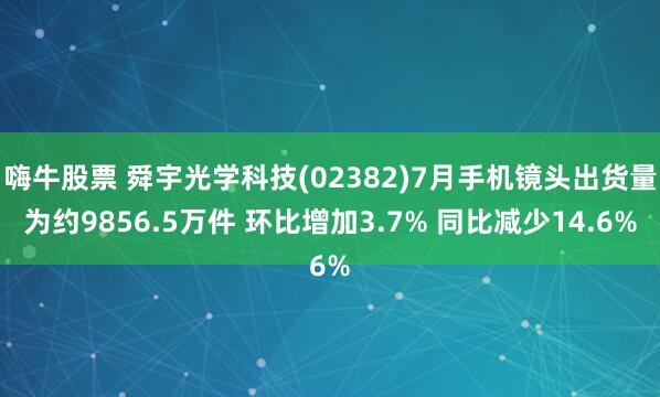 嗨牛股票 舜宇光学科技(02382)7月手机镜头出货量为约9856.5万件 环比增加3.7% 同比减少14.6%