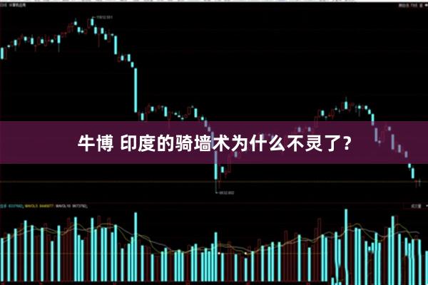 牛博 印度的骑墙术为什么不灵了？