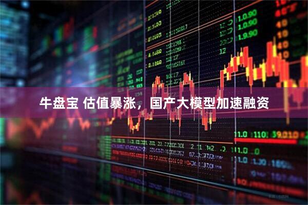 牛盘宝 估值暴涨，国产大模型加速融资